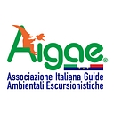 Aigae logo