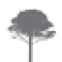Alliance Forêts Bois logo