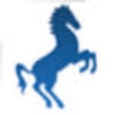 Ambrosi Spa logo