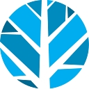 Angel Oak Mortgage Solutions logo