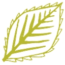 Ansamble logo