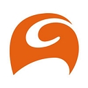 Dps Group Global logo