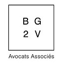 Bg2V logo