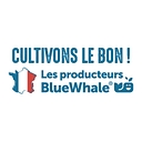 Blue Whale Sas logo