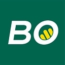 Borini logo