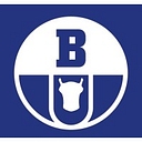 Boryszew S.A. logo