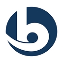 Gruppo Brandini logo