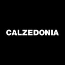 Calz Polska Sp. Z O.O. logo