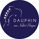 Camping Le Dauphin logo