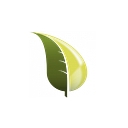 Catania Oils logo