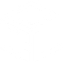 Customs Clearance Ltd logo