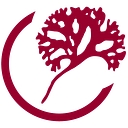 Ceamsa logo
