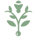 The Charleston Place logo