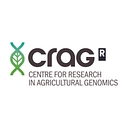 Centre For Research In Agricultural Genomics - Crag logo