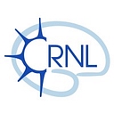 Lyon Neuroscience Research Center - Crnl logo