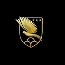 Cyber Eagle Project logo