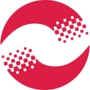 Dt logo