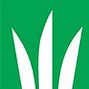 Dlf logo