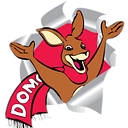 Domo Corporation Ltd. logo