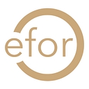 Efor (Formerly Cvo-Europe) logo