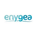 Enygea logo