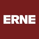 Erne Gruppe logo