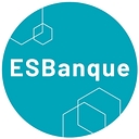 L'École Supérieure De La Banque logo