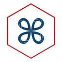 Fds Pro logo