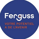 Ferguss | Réseau D'Agences D'Emploi & De Centres De Formation logo