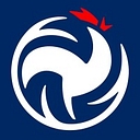 Ffvolley - Fédération Française De Volley / French Volley Federation logo
