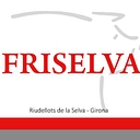 Friselva S.A. logo