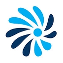 Salient Crgt logo