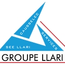 Groupe Llari logo
