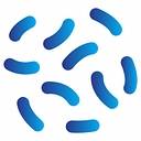 Groupe Biolam logo