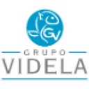 Grupo Videla - Pescados Videla logo