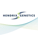 Hendrix Genetics Layers logo