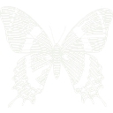 Houston Museum Of Natural Science logo