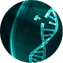 Id Solutions logo