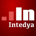 Intedya (International Dynamic Advisors) logo