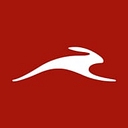 Italo Treno – Ntv logo