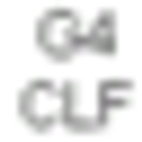 Bgi logo