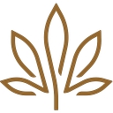 Kiva Brands, Inc. logo