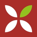 Light Scientists logo