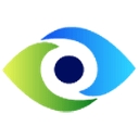 Lions Services Inc logo