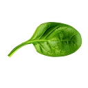 Lunicco logo