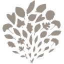 Maisons Pariente logo
