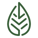 Medical Saints logo