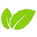 Mint logo