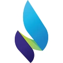 Molgas Energy Group logo