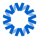 National Vision Inc. logo